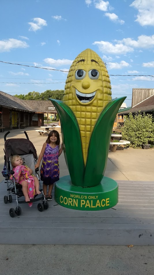 33-corn