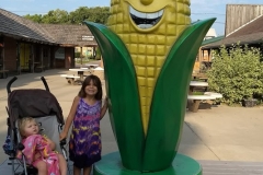 33-corn