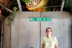 33-dino