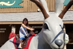 33-jackalope